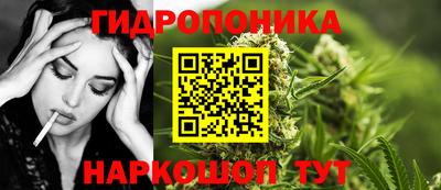 молекула духа Лесосибирск