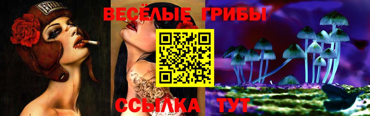 Волгоград  Галлюциногенные грибы Psilocybe  Галлюциногенные грибы мухоморы  Вход с VPN 